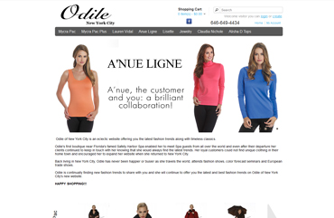 Danville web development